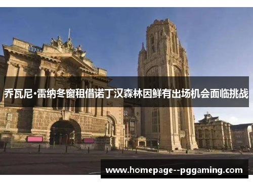 乔瓦尼·雷纳冬窗租借诺丁汉森林因鲜有出场机会面临挑战 乔瓦尼·雷纳冬窗租借诺丁汉森林因鲜有出场机会面临挑战