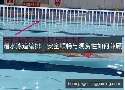 潜水泳道编排,安全顺畅与观赏性如何兼顾 潜水泳道编排,安全顺畅与观赏性如何兼顾