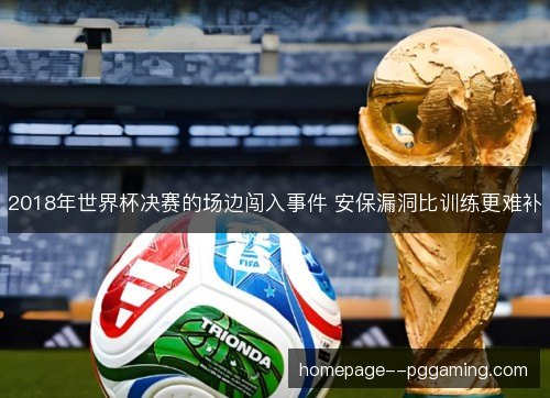 2018年世界杯决赛的场边闯入事件 安保漏洞比训练更难补 2018年世界杯决赛的场边闯入事件 安保漏洞比训练更难补