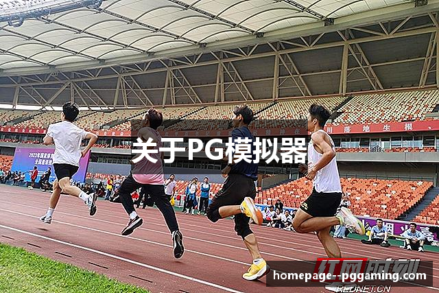 关于PG模拟器